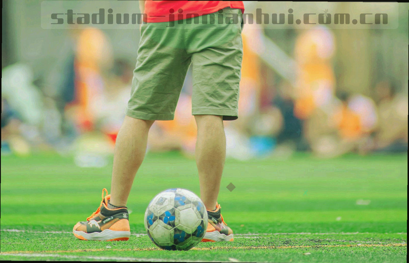 可切换的栏目面板网格示意图，边缘有高亮描边